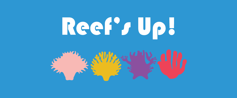 Reef's Up!