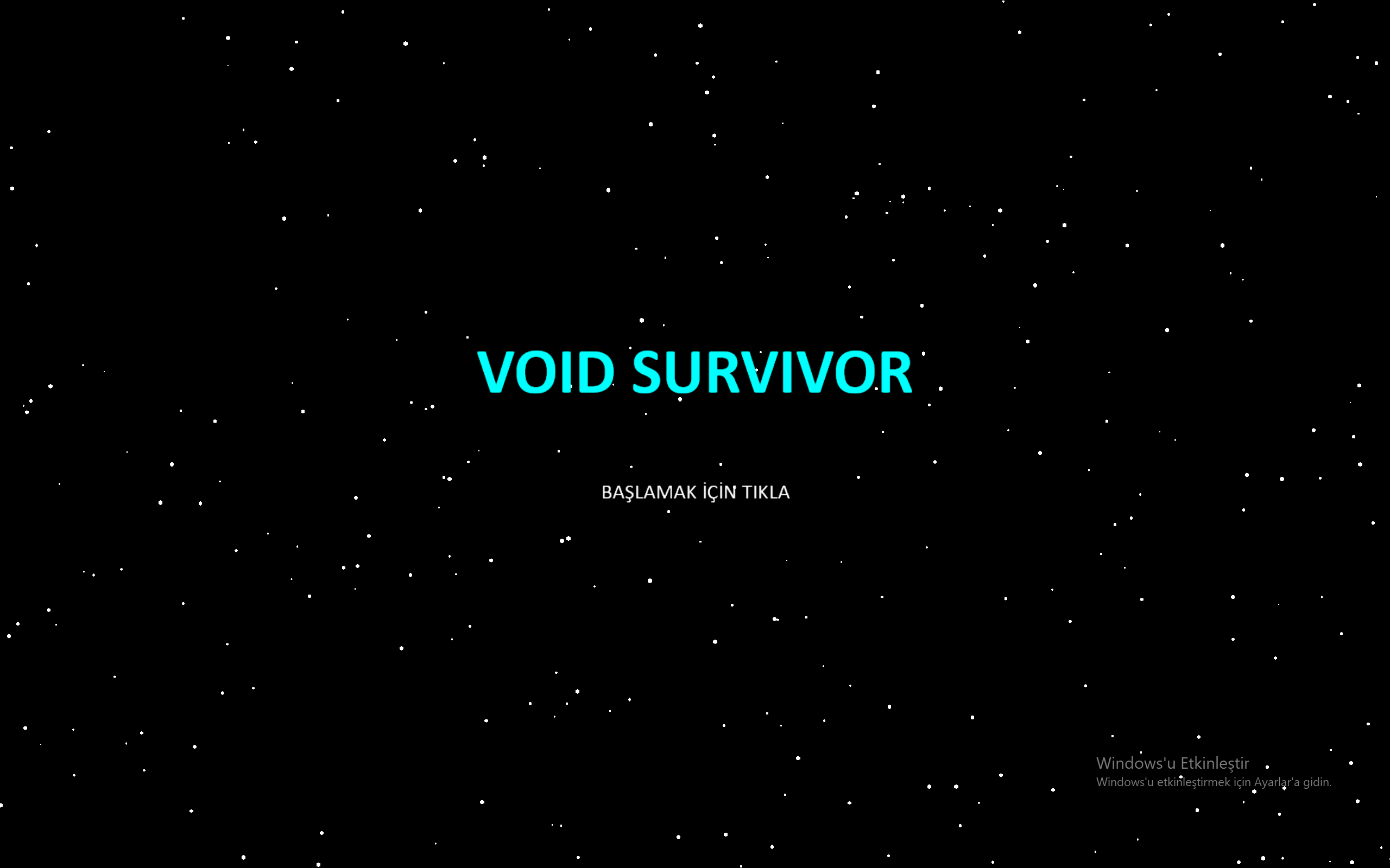 VOID SURVIVOR
