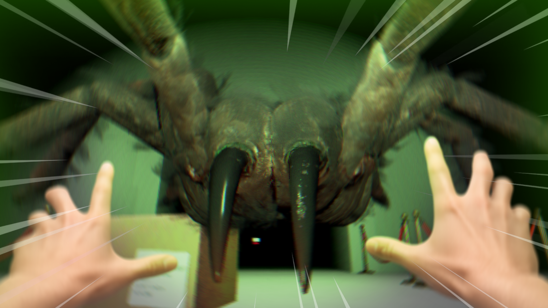 Spider Museum متحف العناكب