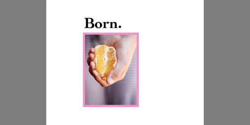Cover image for Born