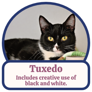 Tuxedo: Includes creative use of black and white. Tuxedo: Includes creative use of black and white.