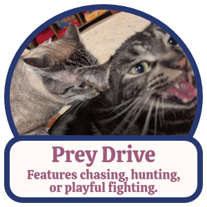 Prey Drive: Features chasing, hunting, or playful fighting. Prey Drive: Features chasing, hunting, or playful fighting.