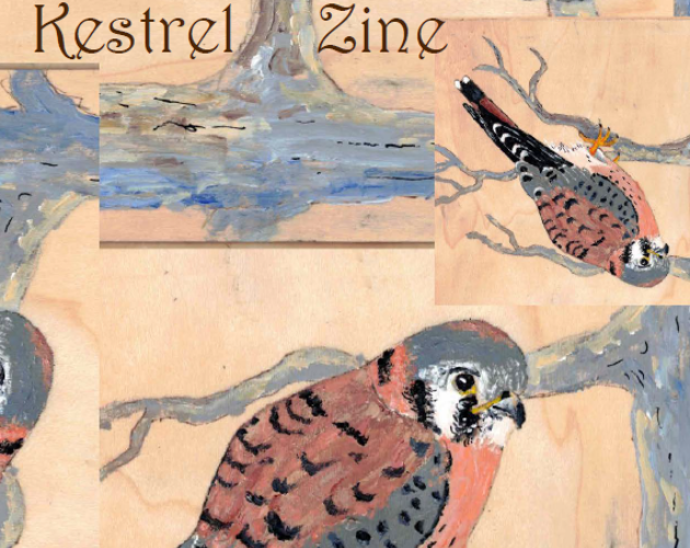 Cover image for The Kestrel Zine — First Edition