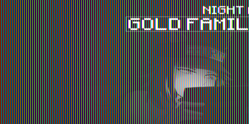 Cover image for Night at Gold Family