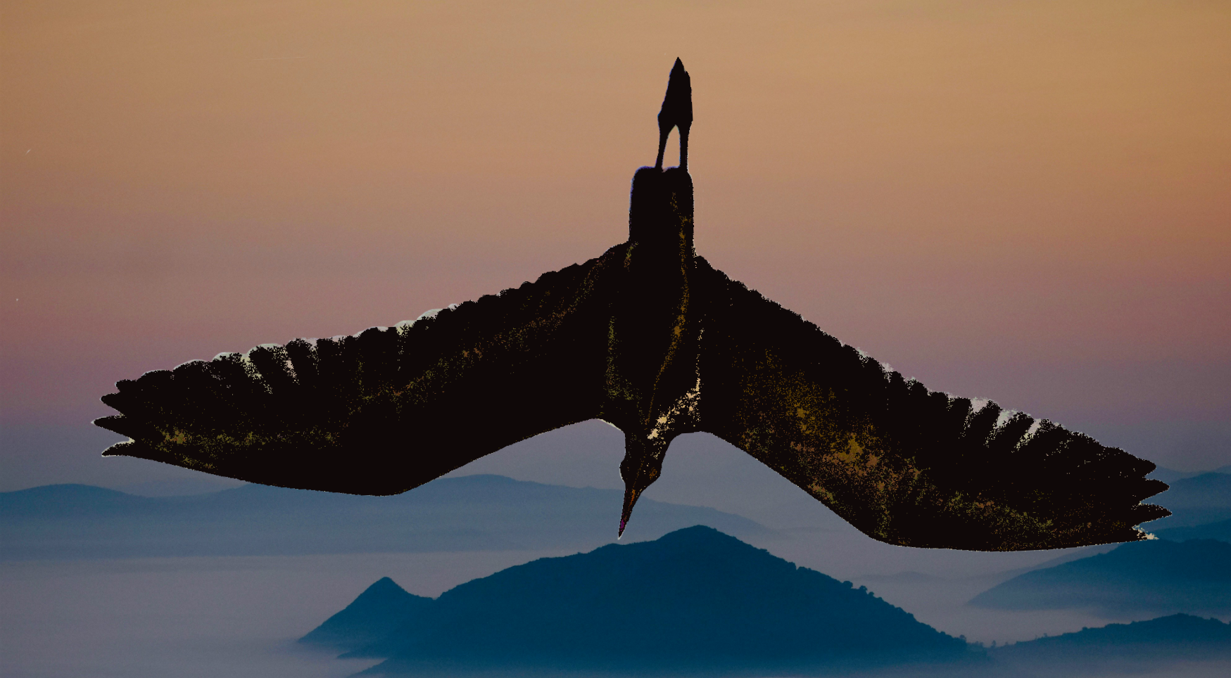 Bird, Falling From The Sky