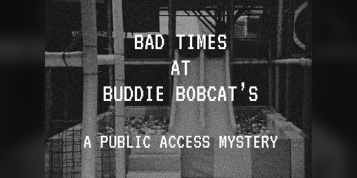 Cover image for Bad Times at Buddie Bobcat's - A Public Access Mystery