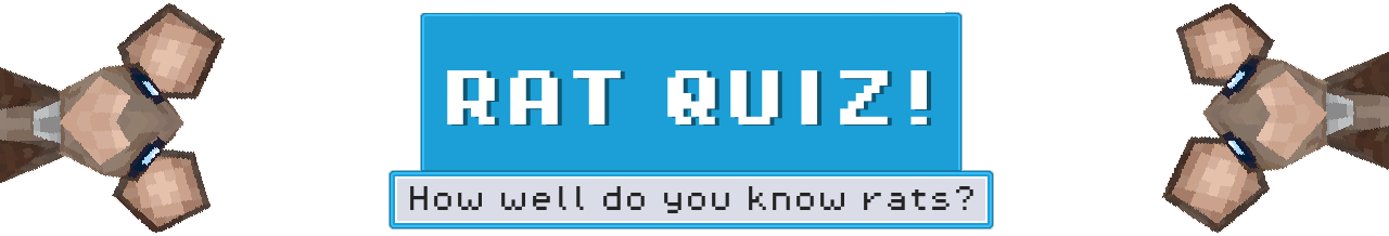 Rat Quiz - How well do you know rats? - RatJam2026