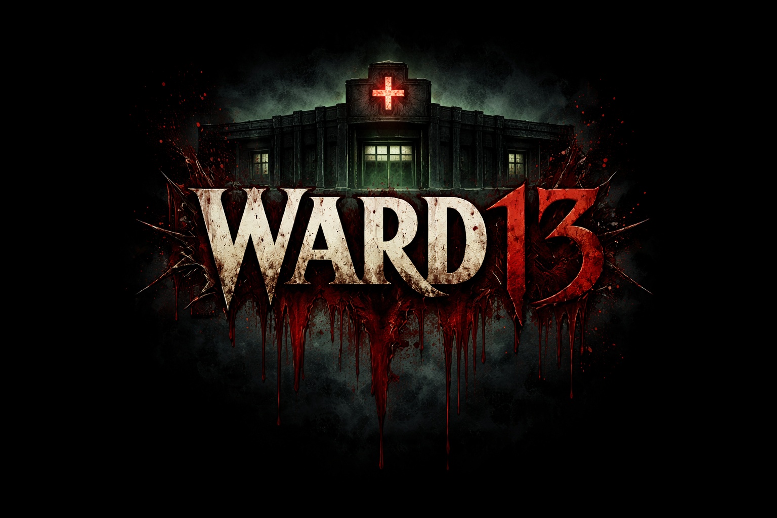 Cover image for Ward 13