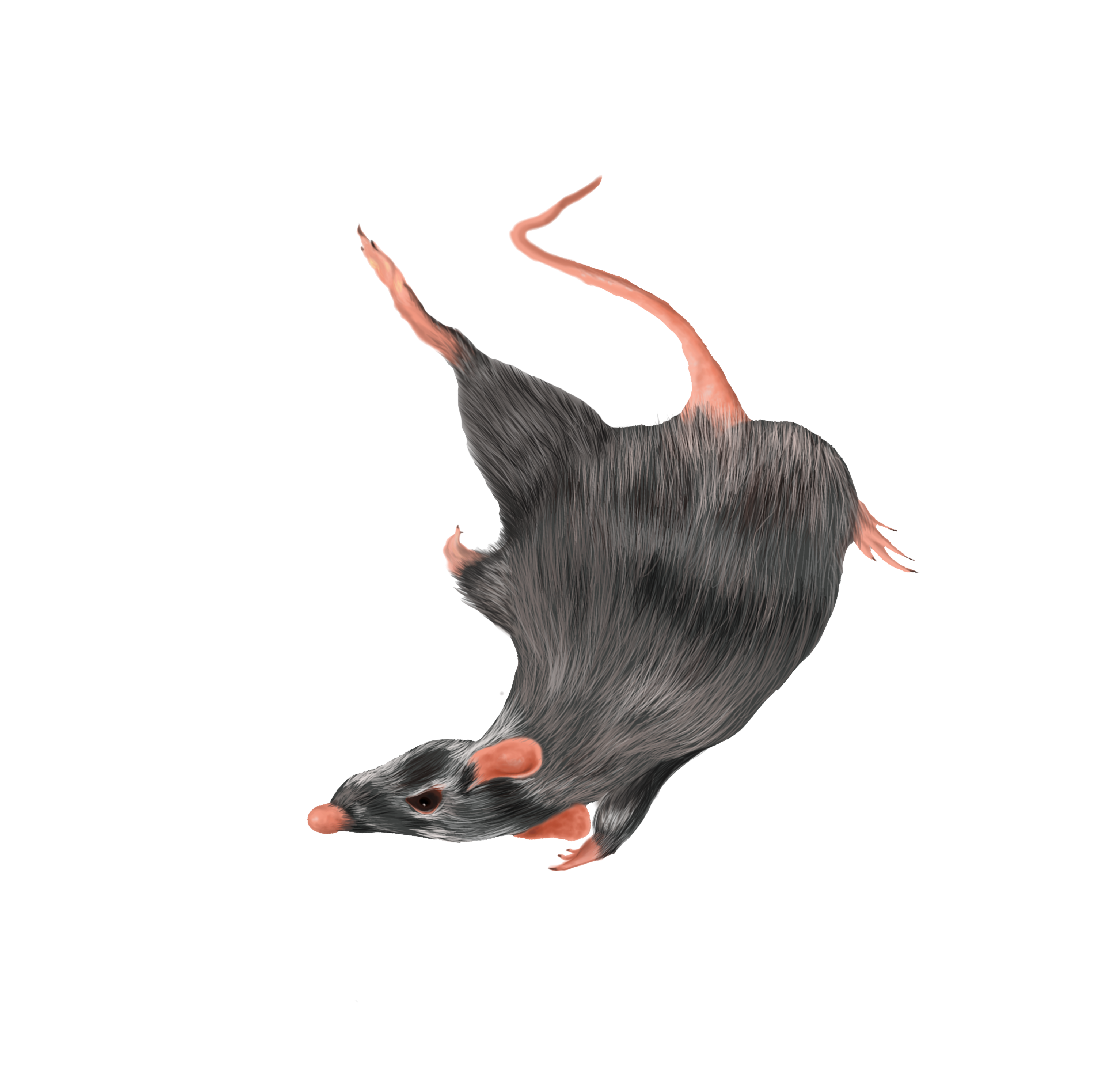 Sewer Surfer