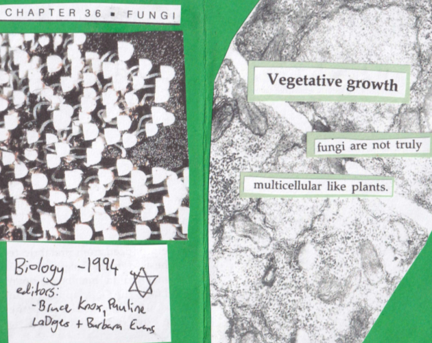 Cover image for textbook fungi zine