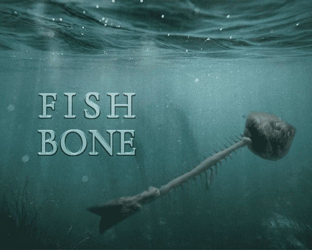 Cover image for Fish Bone