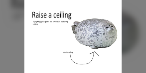 Cover image for Raise a ceiling
