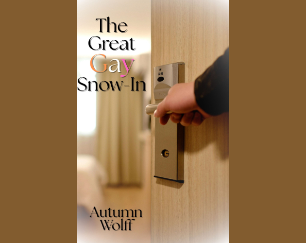 Cover image for The Great Gay Snow-In