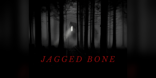 Cover image for Jagged Bone
