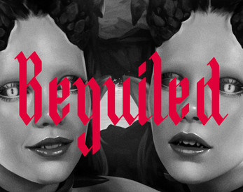 Beguiled by Stray