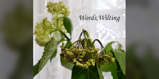 Cover image for Words, Wilting