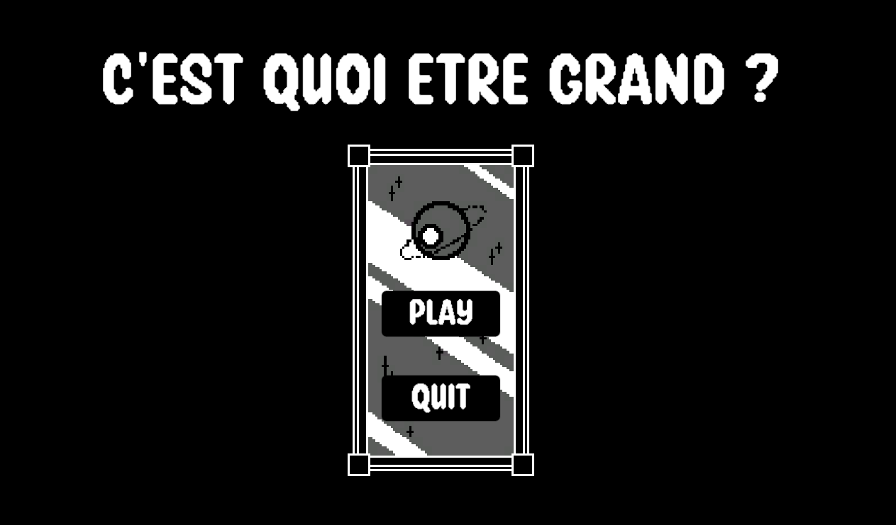 Cover image for C'est quoi être grand ?