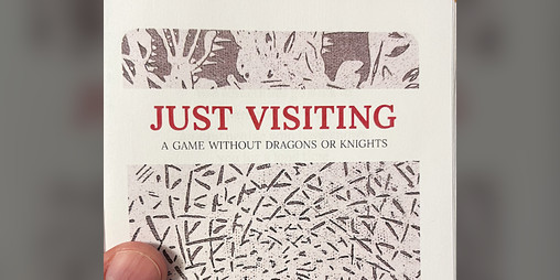 Cover image for Just Visiting