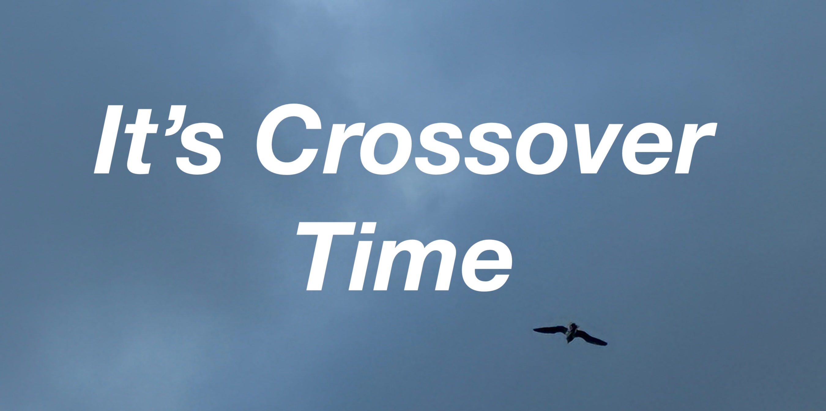 Cover image for It's Crossover Time