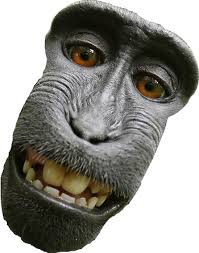 Chimp Sandbox by MonkeerVR