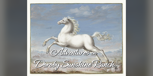Cover image for Adventures on Doroby Sunshine Ranch