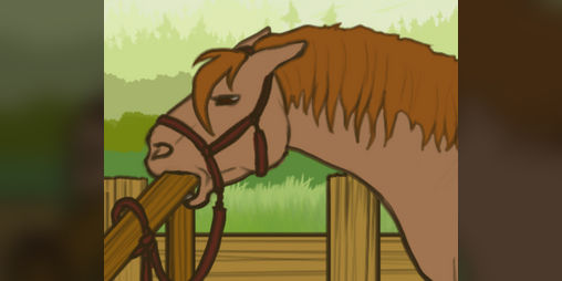 Cover image for Equine Stress