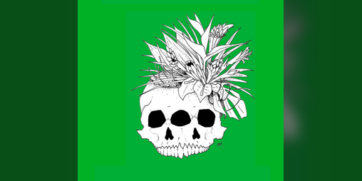 Cover image for Expedition into Area Alpha