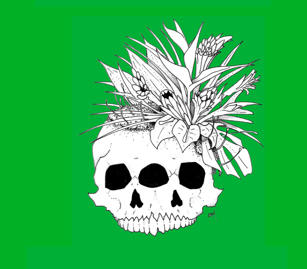Cover image for Expedition into Area Alpha