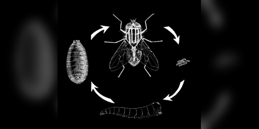 Cover image for The Change