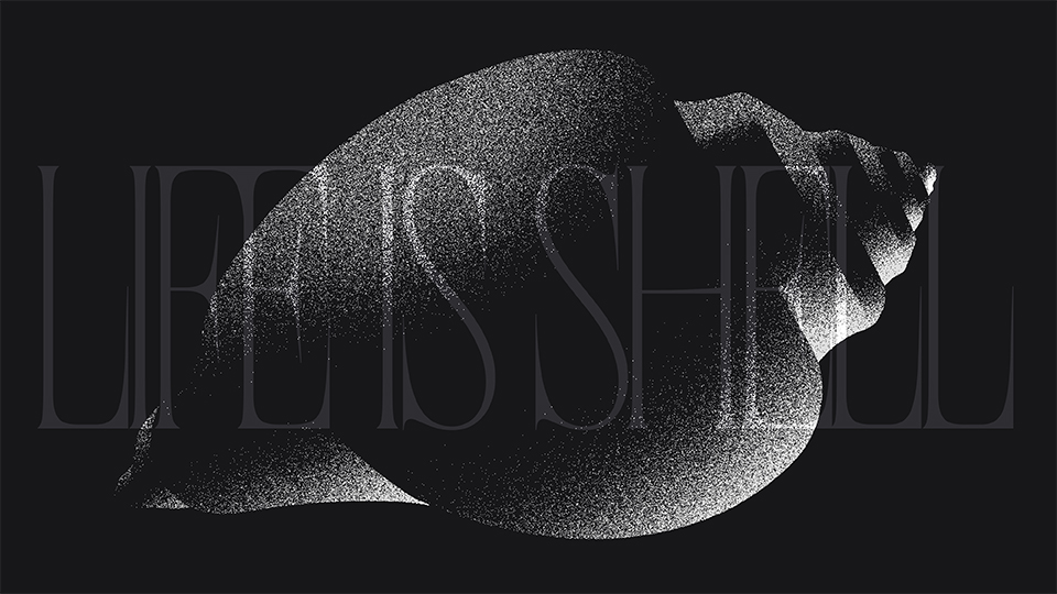Life Is Shell