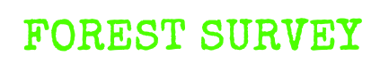 Forest Survey