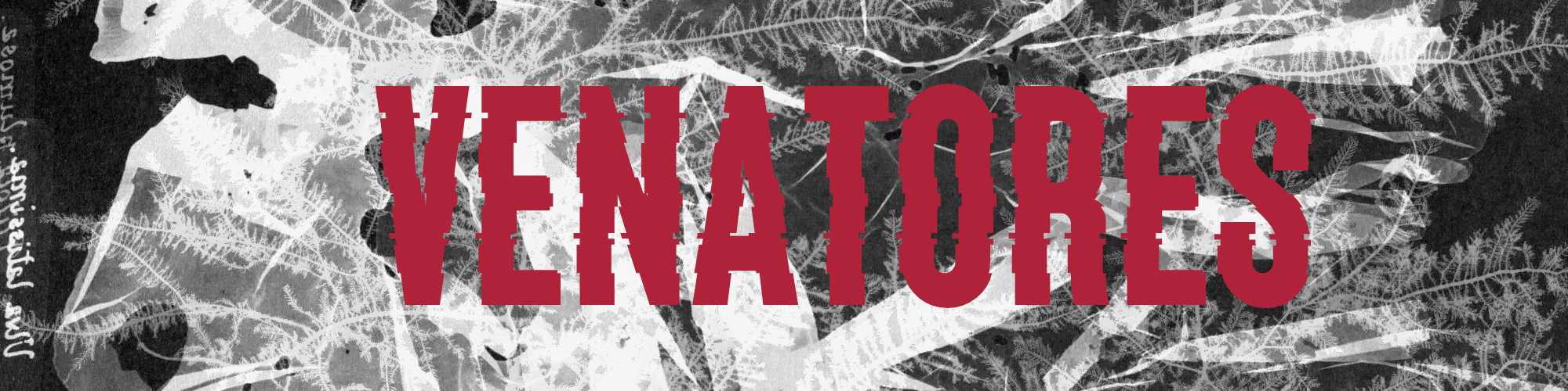 Venatores