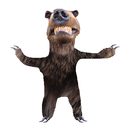 bear creature bear creature