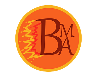 Battle Mage Arena