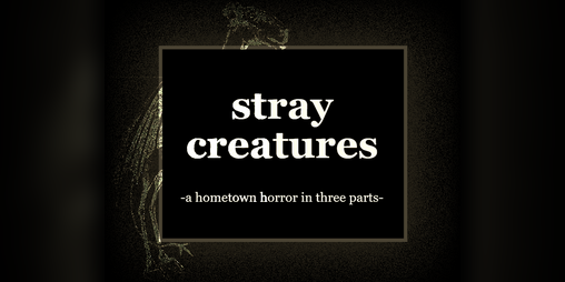 Cover image for stray creatures