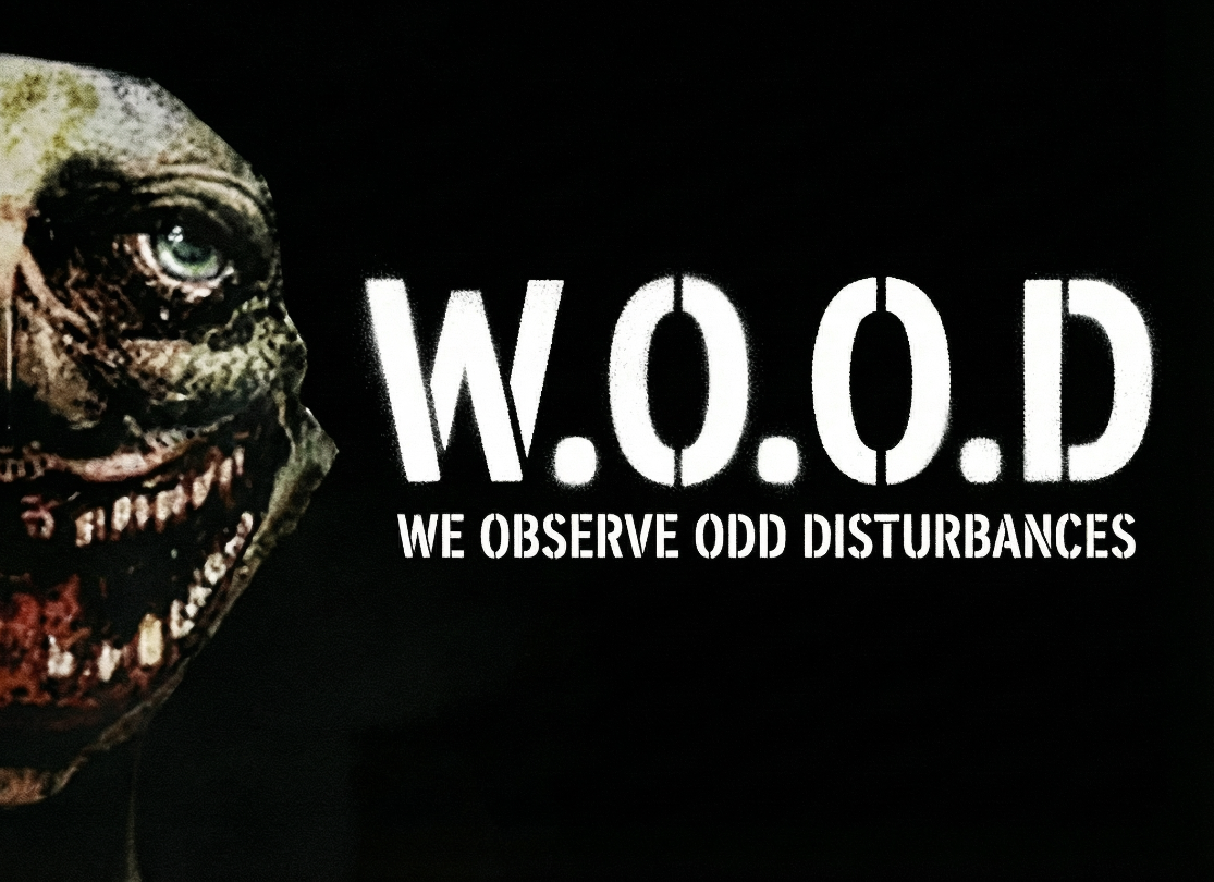 WOOD - We Observe Odd Disturbances cover