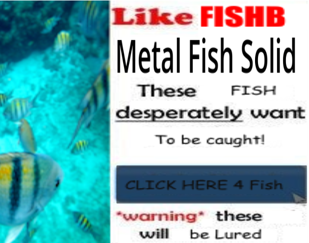 Cover image for Metal Fish Solid