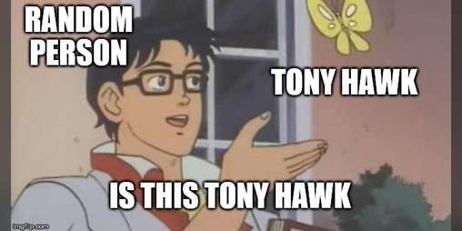 Cover image for The Tony Hawk Larp