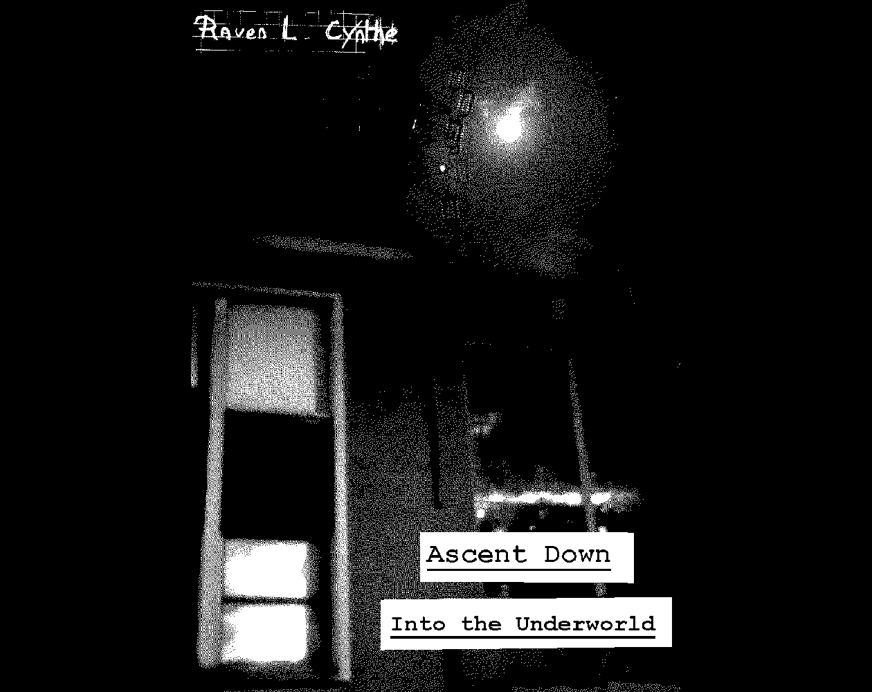 Cover image for Ascent Down Into the Underworld (English)
