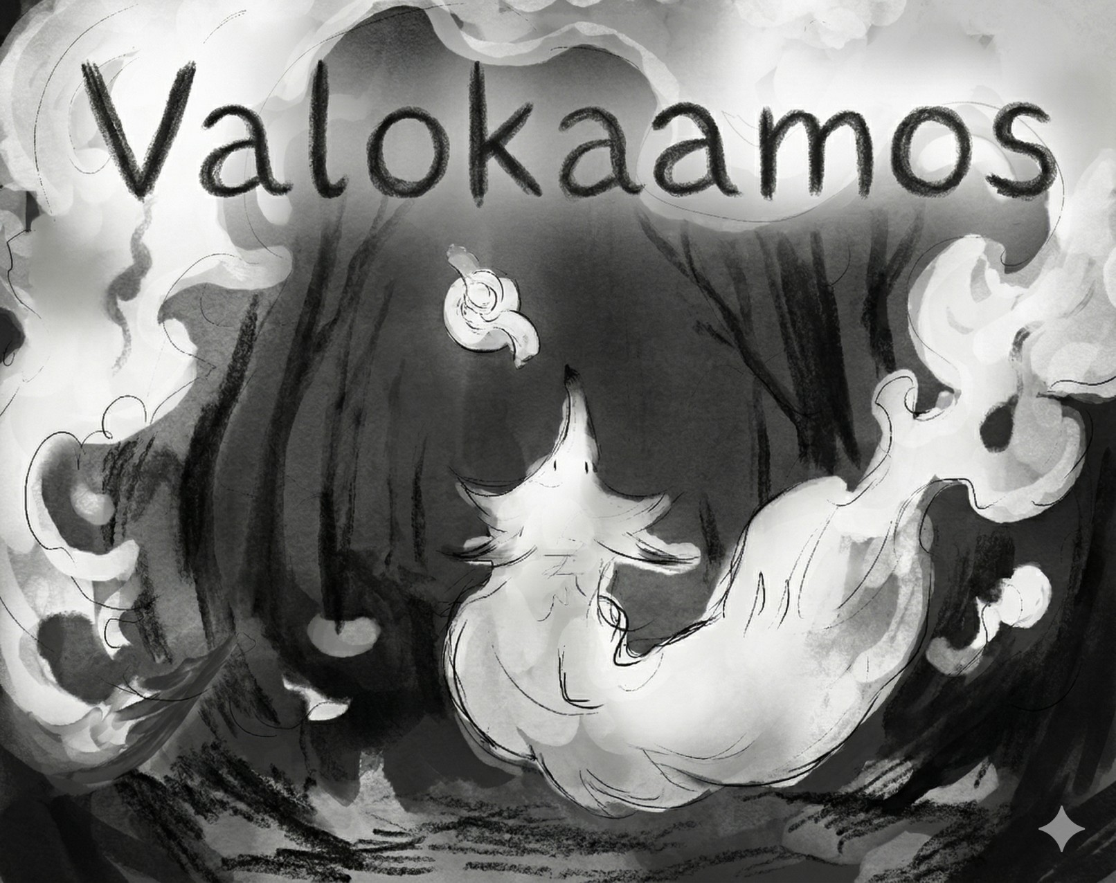 Valokaamos