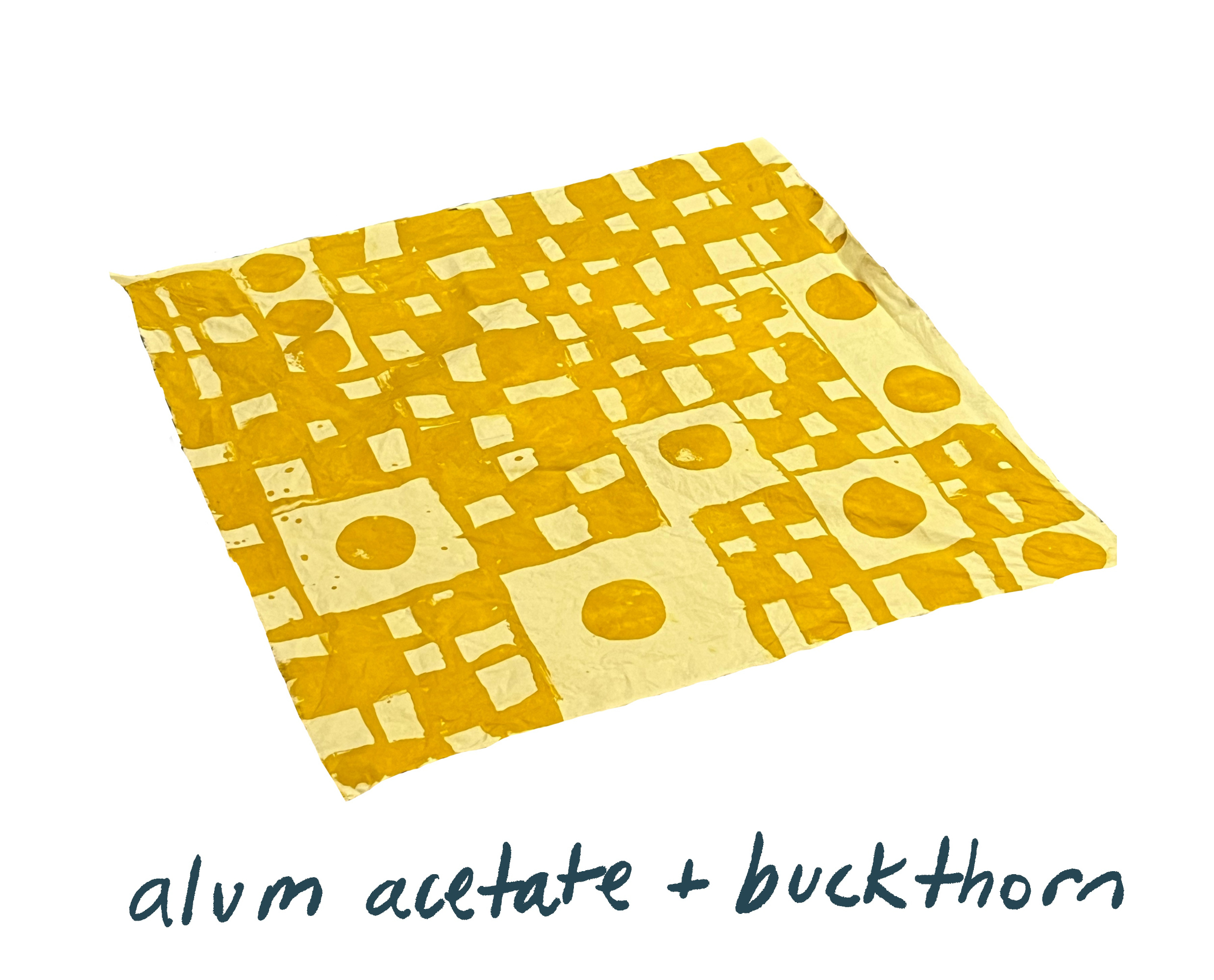 Mordanting with Alum Acetate