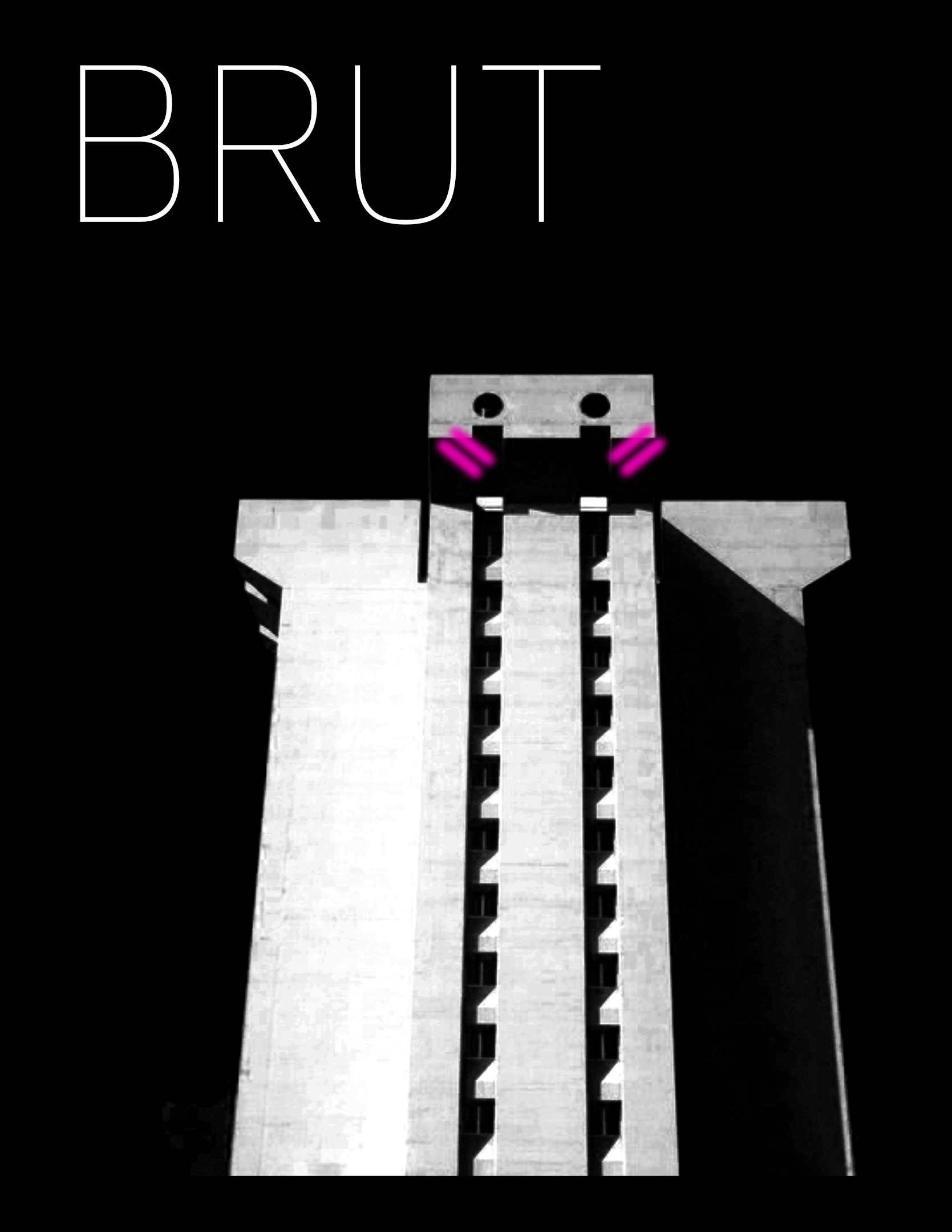 Cover image for Brut