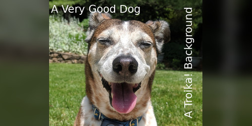 Cover image for A Very Good Dog: A Troika! Background