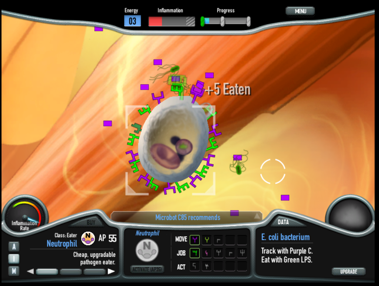 Cover image for Immune Defense