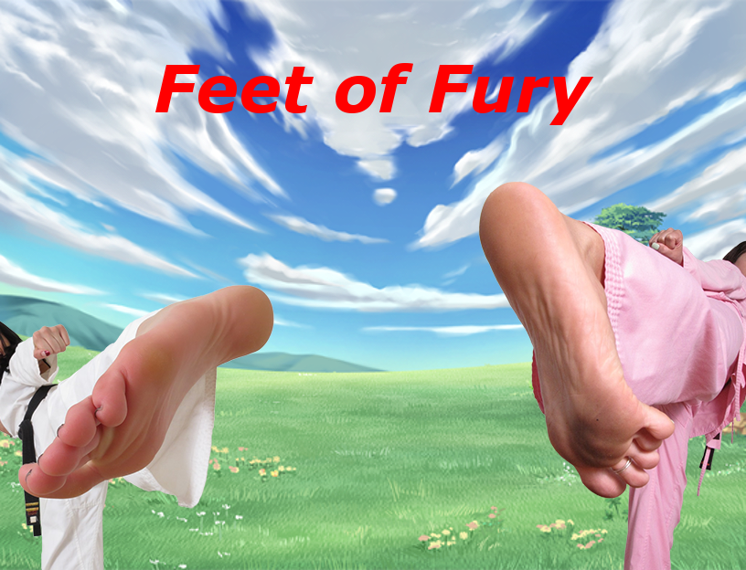 Cover image for Feet of Fury