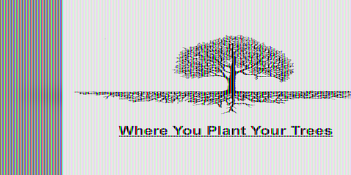 Cover image for Where You Plant Your Trees