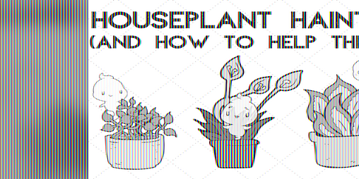 Cover image for Houseplant Haints (and how to help them)