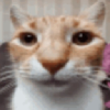 Cover image for Silly Cat Game II