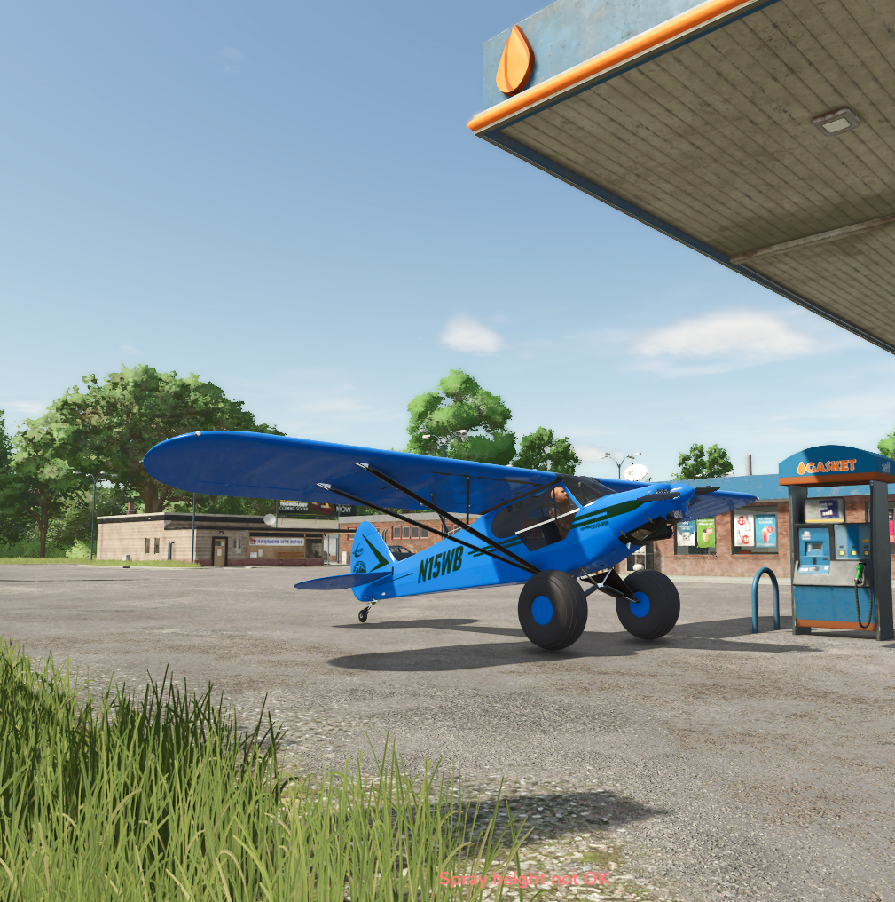 Cover image for WSKYBNT CARBON CUB (FS25)