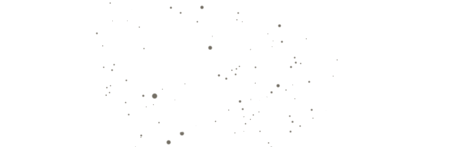 Dust Bunny